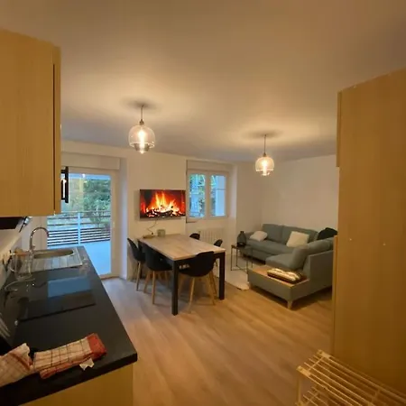 Appartement Chaleureux Au Pied Des Pistes