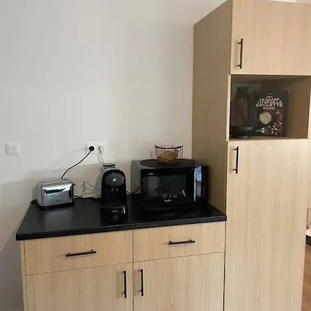 Chaleureux Au Pied Des Pistes Appartamento